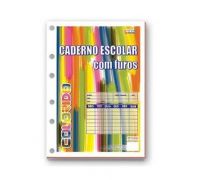 Bloco universitário 100 fls colorido 4 furos São Domingos