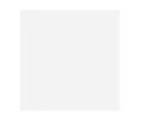 Folha de EVA 40x60 branco c/10 fls