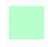 Folha de EVA 40x60 verde claro