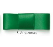 Fita de Cetim Najar - 22mm x 10mts - Cor Amazonas 
